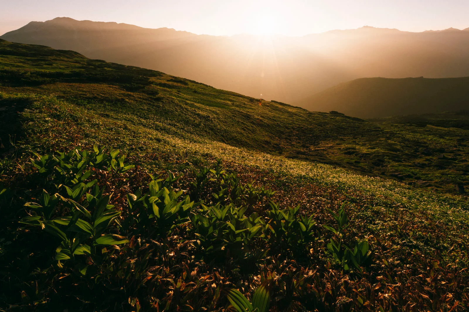 心のバリアフリー